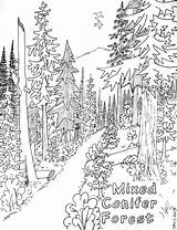 Coloring Forest Pages Printable Kids Coniferous Popular sketch template