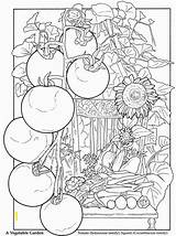 Coloring Garden Pages Printable Adult Color Adults Colouring Sheets Vegetable Book Dover Books Publications Kleuren Voor Volwassenen Colorful Doodle Welcome sketch template