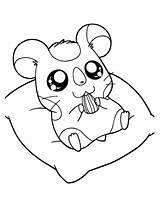 Hamster Coloring Cute Drawing Pages Getdrawings sketch template