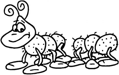 animals coloring pages centipede enjoy  summer kids coloring pages