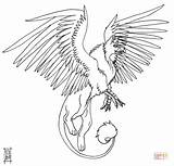 Griffin Coloring Pages Gryphon Printable Designlooter Drawing Drawings Template sketch template