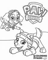 Everest Patrol Paw Coloring Pages Drawing Skye Printable Print Template Templates Getdrawings sketch template