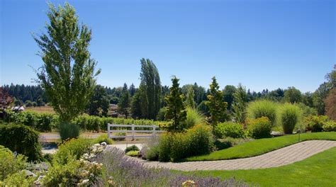 visit woodinville  travel guide  woodinville seattle expedia