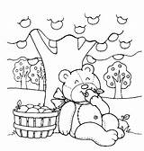 Bear Teddy Picnic Coloring Pages Bears Printable Kids Print Les Preschool Apple Blanket Color Thème Préscolaire Colorings Enfants Coloriage Pour sketch template