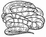 Anaconda Rattlesnake Snakes Anacondas Coloringsky Poisonous sketch template