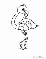 Flamingo Coloring Pages Cute Drawing Print Kids Animal Color Baby Heart Hellokids Flamingos Simple Colouring Bird Printable Flaming Template Outline sketch template