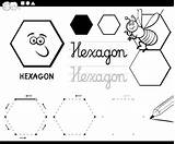 Hexagon Coloring Shapes Geometric Premium Basic Vector Getcolorings sketch template