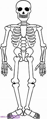 Esqueleto Huesos Niños Calaveras Skeletal Skeletons Awesome Shark Kidsplaycolor Albanysinsanity sketch template