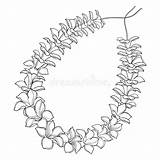 Lei Hawaiian Outline Vector Flower Necklace Allamanda Petal Isolated Tropical Background Illustration sketch template