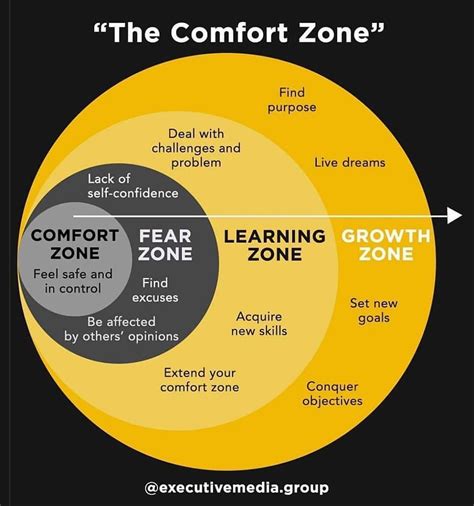 comfort zone diagrams  charts