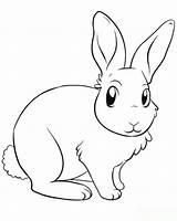 Kaninchen Ausdrucken Ausmalbild Hase Ausmalen Wohnkultur Bastelideen Frisur Mytie Ausmalbildertv Hasen Zeichenvorlagen sketch template