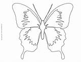 Butterfly Coloring Color Pages Outline Object Butterflies Swallowtail Printable Template Flowers Coloured Designlooter Drawings Sheets 1056 02kb Getdrawings Getcolorings Various sketch template