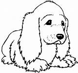 Coloring Spaniel Pages King Charles Color Cocker Getdrawings Cavalier sketch template