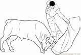 Bullfight Bull Coloringpages101 Cultures Getdrawings sketch template