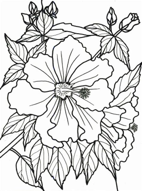 easy coloring pages  dementia patients   gmbarco