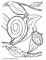 Coloring Pages Snails Color Snail Animal Kids Printable Sheet Sheets Found sketch template