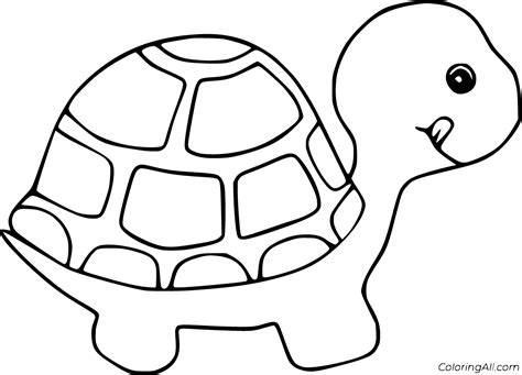 tortoise coloring pages coloringall
