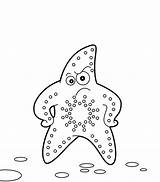 Colorear Estrella Estrelas Marinos Starfish sketch template