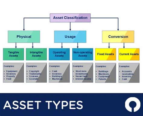 types  assets  fmis software