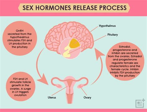 hormone balancing ~ revolutions naturopathic natural
