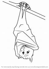 Flying Fox Step Drawing Draw Animals Other Tutorials Drawingtutorials101 Previous Next sketch template