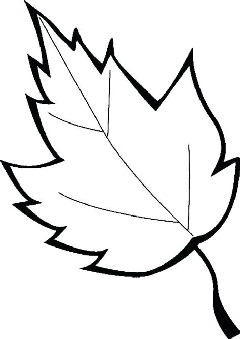 leaf coloring pages png