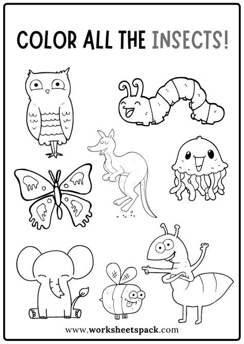 color   insects worksheet  insects coloring book