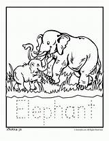 Zoo Printable Animals Library sketch template
