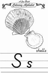 Janbrett Shells Alphabet Coloring Modern Click Subscription Downloads sketch template