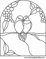 Glass Stained Patterns Birds Designs Para Outline Window Suncatcher Orange Bird Painting Stainedglasshobby Patrones Vidrio Coloring Pintura Sobre Wedding Pattern sketch template