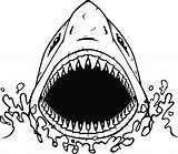Shark Drawing Jaw Sketch Vector Mouth Tooth Clipart Getdrawings Collection Paintingvalley sketch template