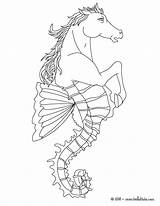 Coloring Pages Hydra Creatures Dragon Creature Mythical Water Hippocampus Mythological Greek Half Sea Drawing Color Mythology Fish Horse Colouring Cerberus sketch template