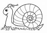 Escargot Lescargot sketch template