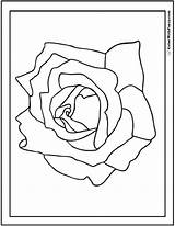 Coloring Rose Simple Pages Color Name Printable Other Any Template Kids Pdf Colorwithfuzzy Printables sketch template