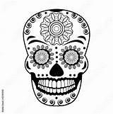 Messicano Skull Teschio Mexican Illustration Vettoriale Vettoriali Bozzetto Contenuti Scarica Simili sketch template