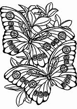 Farfalle sketch template