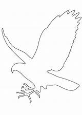 Falcon Crow Falcons Peregrine Crown Silhouette Outlines Preschool Fugle Preschoolcrafts sketch template