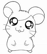 Hamster Hamtaro Hamsters Ausmalbilder Chinchilla Printable Kids sketch template