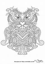 Coloring Owl Pages Uil Zentangle Paisley Printable Voor Volwassenen Kleurplaat Kleuren Colouring Adult Doodle Stress Anti Tattoo Coloriage sketch template