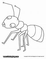Ant Coloring Pages Kids Drawing Preschoolers Cliparts Color Preschool Clipart Print Getdrawings Fire Favorites sketch template