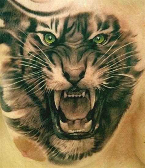 amazing tiger tattoos  men  women