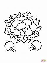 Cauliflower Coloring Drawing Pages Printable Supercoloring Clipart sketch template