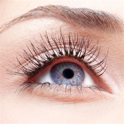 eyelash eyebrow tint urban spa