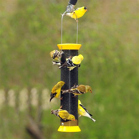 finch bird feeders   pros  cons