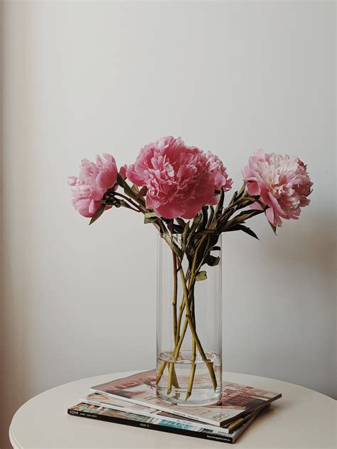 pink flowers  glass vase  stock photo