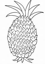 Pineapple sketch template