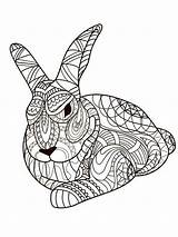 Rabbit Zentangle sketch template