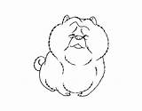 Chow Coloring Coloringcrew Dogs sketch template