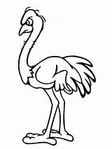 Ostrich Coloring Pages Template Drawing Printable Kids Print African Olive Clipart Angry Animal Colouring Color Templates Getdrawings Getcolorings Super Clip sketch template