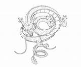 Shenron Dragon sketch template